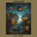 the album cover for ANMLPLNET - Fall Asleep