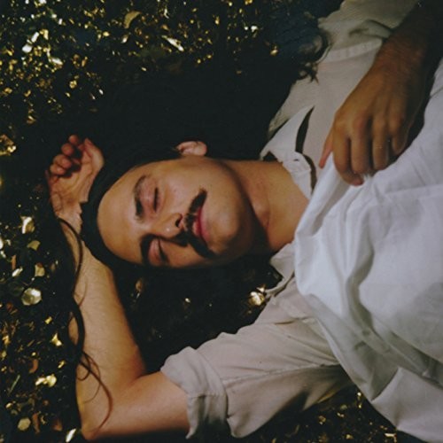 the album cover for Michael Rault - It's A New Day Tonight