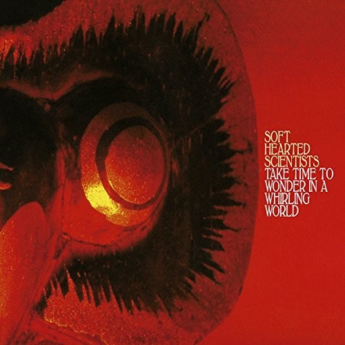 the album cover for Soft Hearted Scientists - Take Time To Wonder In A Whirling World
