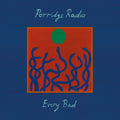 the album cover for Porridge Radio - Every Bad