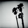 the album cover for Blackberry Belle - Blackberry Belle