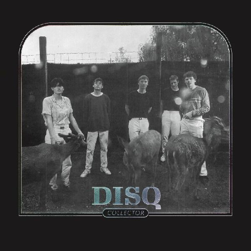 the album cover for DISQ - Collector [LP]