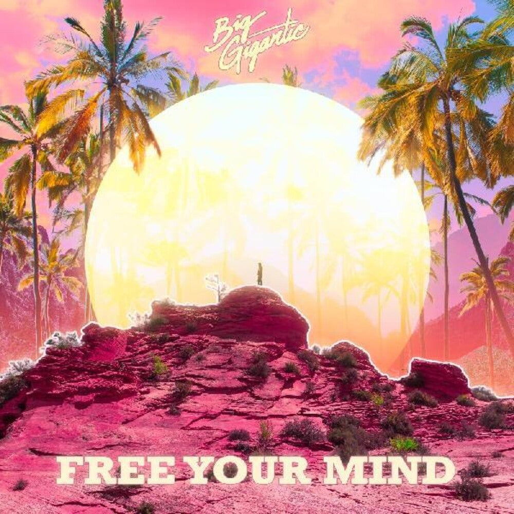 the album cover for Big Gigantic - Free Your Mind [2LP]