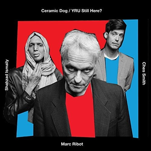 the album cover for Ceramic Dog - Y R U Still Here