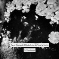 the album cover for S. Raekwon - Parts Towards Whole b/w A Crow's Smile [Vinyl Single]