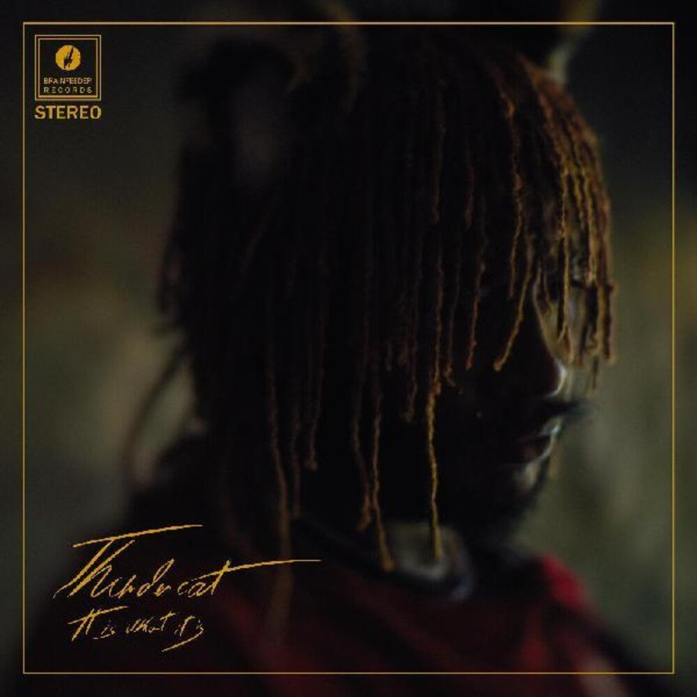 the album cover for Thundercat - It Is What It Is [Indie Exclusive Limited Edition Cream LP]