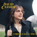 the album cover for David Cassidy - I Think I Love You (Blue) [Limited Edition] (Pnk)