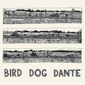 the album cover for John Parish - Bird Dog Dante