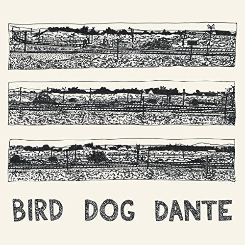 the album cover for John Parish - Bird Dog Dante