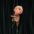the album cover for Marian Hill - Unusual