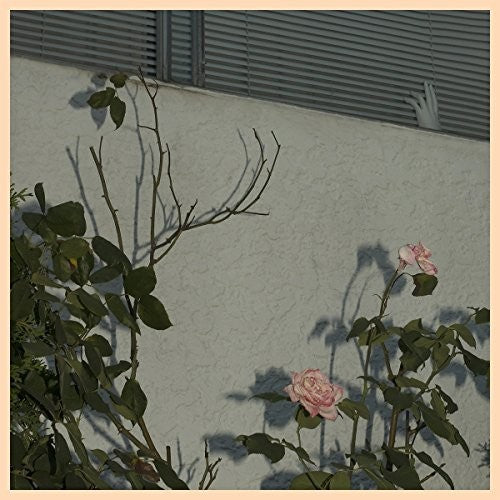 the album cover for Soft Kill - Savior