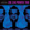 the album cover for Zig Zag Power Trio - Woodstock Sessions Vol. 9