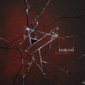 the album cover for Lunatic Soul - Fractured
