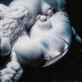 the album cover for Bjork - Arisen My Senses