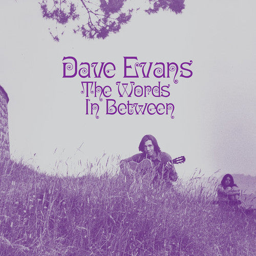 the album cover for Dave Evans - The Words In Between