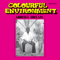 the album cover for Gboyega Adelaja - Colourful Environment
