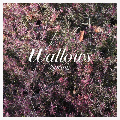 Wallows - Spring EP [Pink & Green Vinyl]
