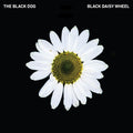 the album cover for Black Dog - Black Daisy Wheel