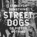 the album cover for Street Dogs - Stand For Something Or Die For Nothing