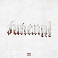 the album cover for Lil Wayne - Funeral