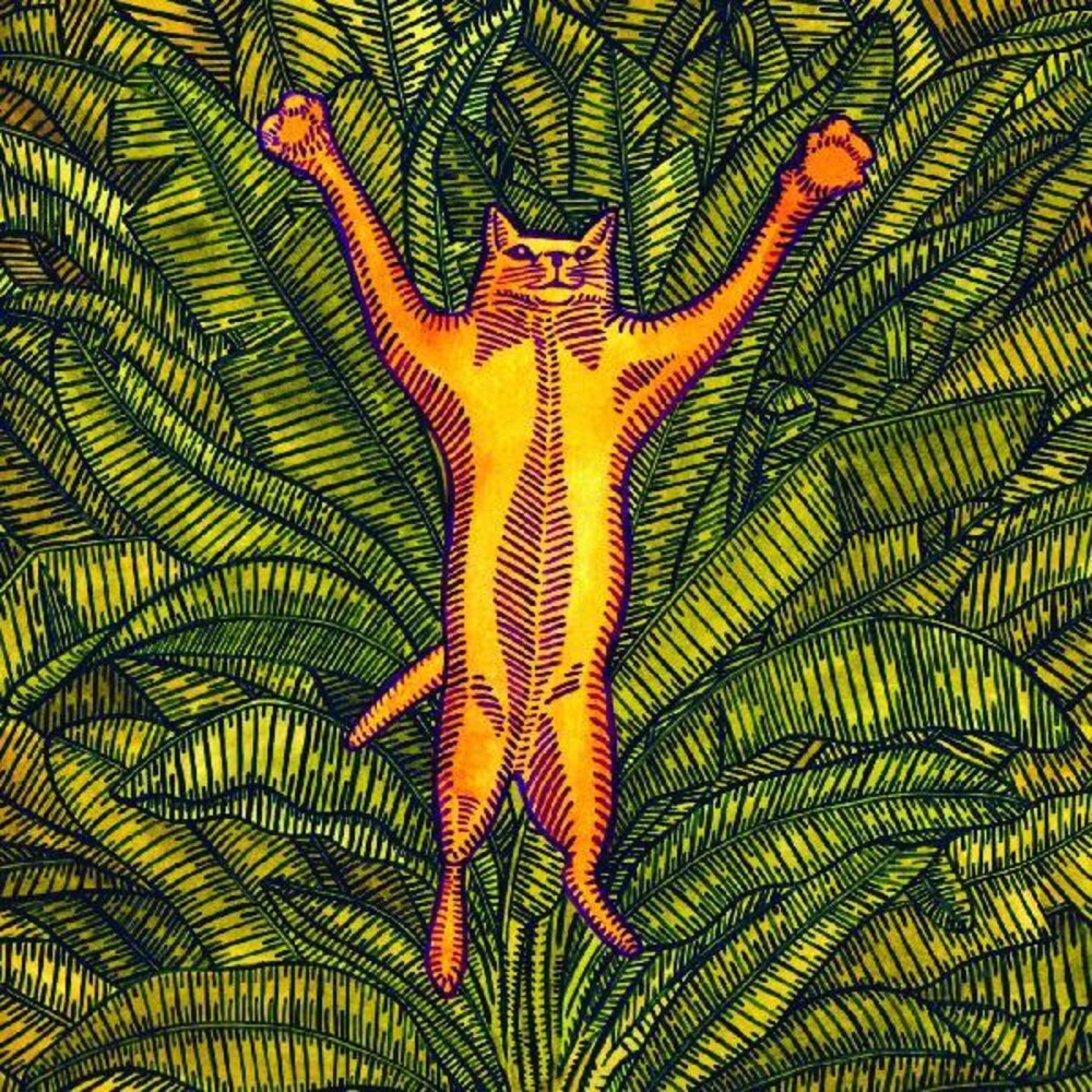 the album cover for Brian Marsella - Gatos Do Sul