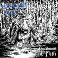the album cover for Innumerable Forms - Punishment In Flesh