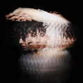the album cover for Ultraista - Sister