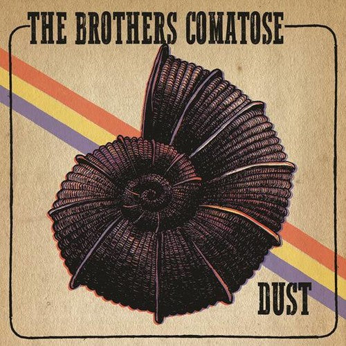 the album cover for Brothers Comatose - Dust (10in)