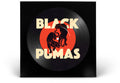 the album cover for Black Pumas - Black Pumas [Indie Exclusive Limited Edition Picture Disc LP]