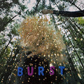 the album cover for Snarls - Burst