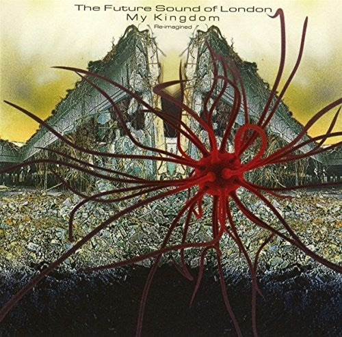 the album cover for Future Sound Of London - My Kingdom