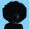 the album cover for Sudan Archives - Sink [Download Included]