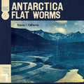 the album cover for Flat Worms - Antarctica