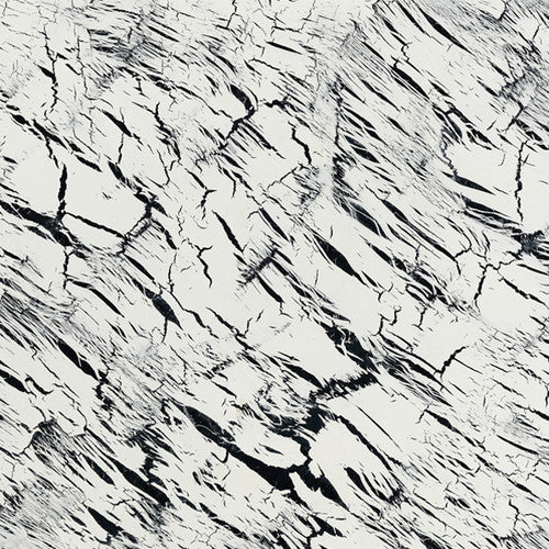 the album cover for Joshua Abrams - Excavations 1