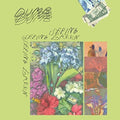 the album cover for Dumb - Seeing Green