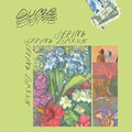 the album cover for Dumb - Seeing Green