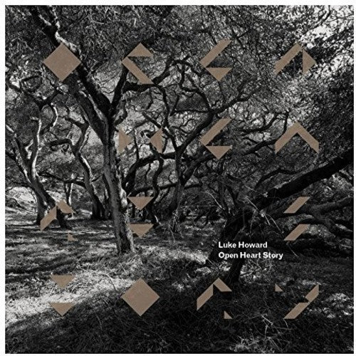 the album cover for Luke Howard - Open Heart Story