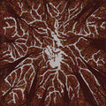 the album cover for Trash Boat - Crown Shyness [Download Included]