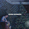 the album cover for Dumb Numbers - Stranger
