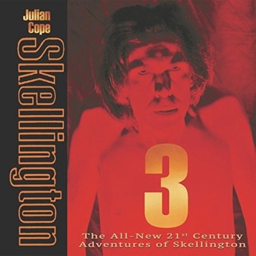 the album cover for Julian Cope - Skellington 3