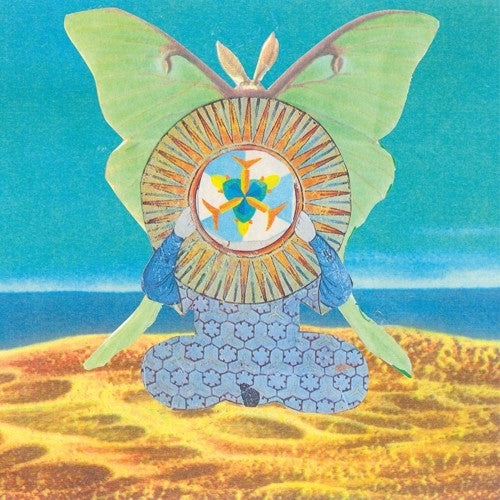 the album cover for Skygreen Leopards - Jingling World Of The Skygreen Leopards