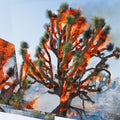 the album cover for Oren Ambarchi / Jaeger,Kassel / Rushford,James - Face Time