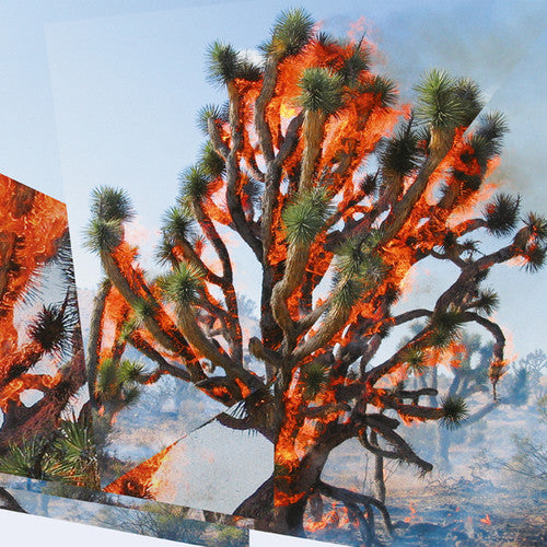 the album cover for Oren Ambarchi / Jaeger,Kassel / Rushford,James - Face Time