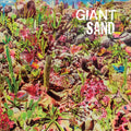 the album cover for Giant Sand - Returns To Valley Of Rain
