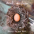 the album cover for Soul Asylum - Hurry Up and Wait [2LP]