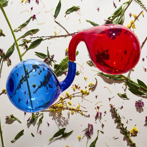 the album cover for Dirty Projectors - Lamp Lit Prose