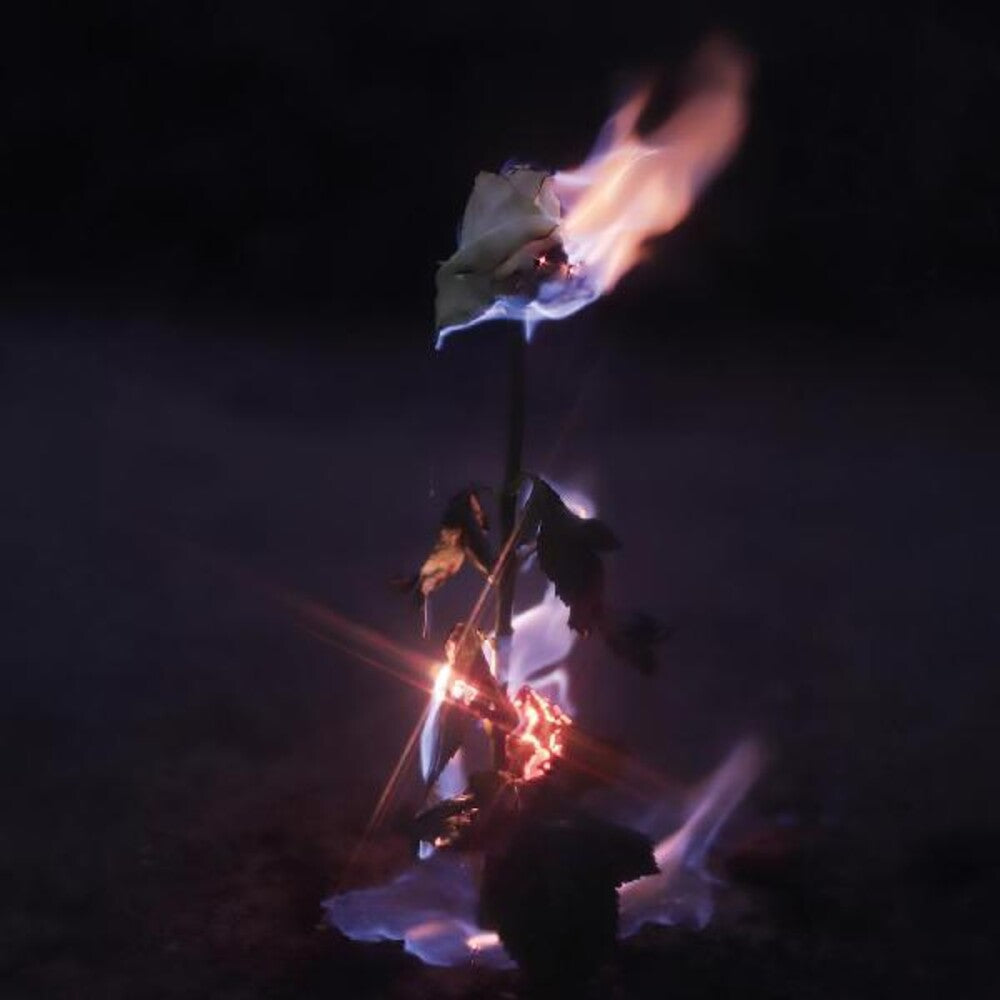 the album cover for Farwarmth - Momentary Glow