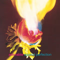 the album cover for Adorable - Against Perfection