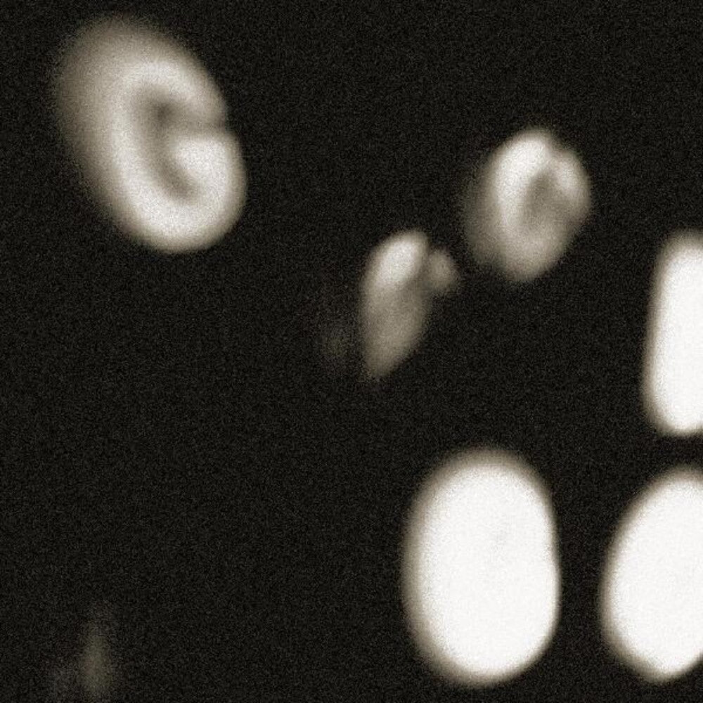 the album cover for No Age - Goons Be