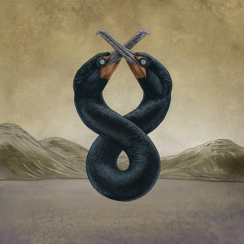 the album cover for San Fermin - The Cormorant I & II [2LP]